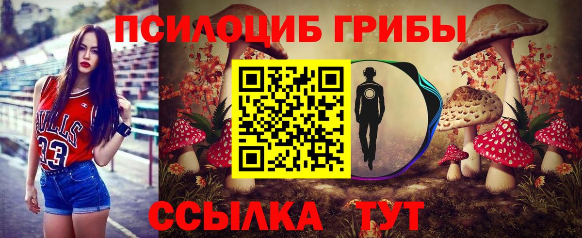 Псилоцибиновые грибы GOLDEN TEACHER Вологда